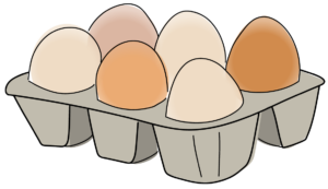 eier kiste